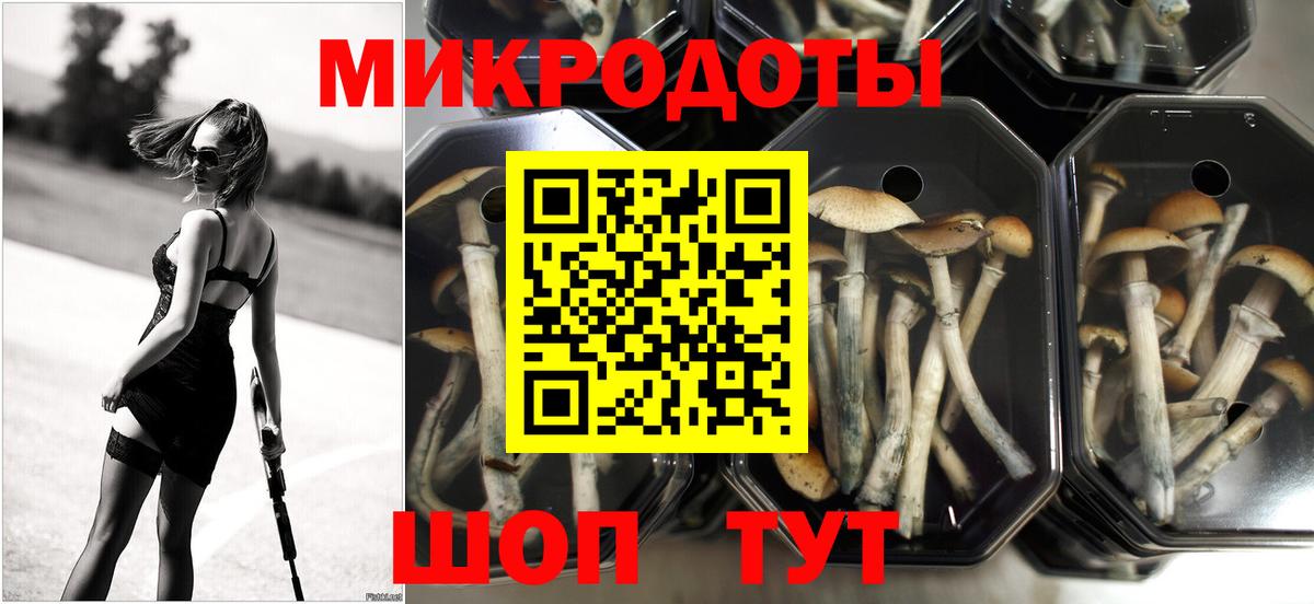 Галлюциногенные грибы MAGIC MUSHROOMS  Вход с VPN  Сердобск 